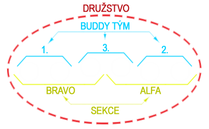 rozdělení na sekce a týmy